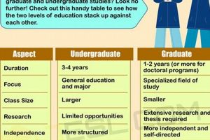 Undergraduate vs Graduate Studies: Key Differences Explained | Study Travel Abroad | Explore Educational Trips & Global Learning Opportunities