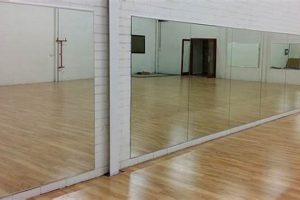 Enhance Dance: Studio Mirrors for Perfect Form | Study Travel Abroad | Explore Educational Trips & Global Learning Opportunities