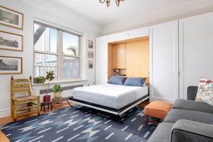 Space-Saving: Murphy Bed in Studio Apartment Solutions | Study Travel Abroad | Explore Educational Trips & Global Learning Opportunities