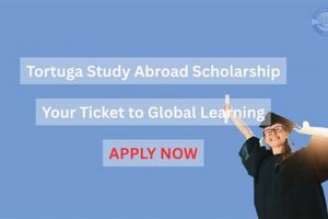Fund Your Adventure: Tortuga Study Abroad Scholarship Guide | Study Travel Abroad | Explore Educational Trips & Global Learning Opportunities