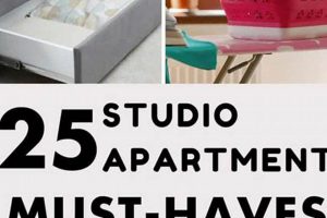 Essential Studio Apartment Must-Haves: Space Savers! | Study Travel Abroad | Explore Educational Trips & Global Learning Opportunities