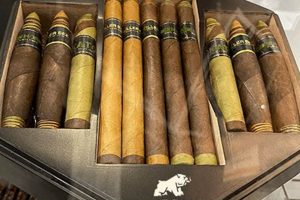 Guide to Black Works Studio Cigars: Bold Flavors & More Study Travel Abroad | Explore Educational Trips & Global Learning Opportunities Guide to Black Works Studio Cigars: Bold Flavors & More | Study Travel Abroad | Explore Educational Trips & Global Learning Opportunities