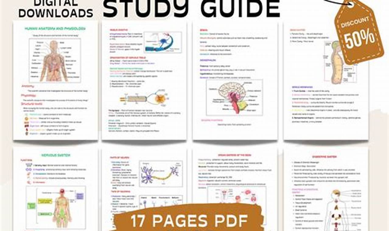 Best A&P Study Guide: Ace Anatomy & Physiology Exams! | Study Travel Abroad | Explore Educational Trips & Global Learning Opportunities