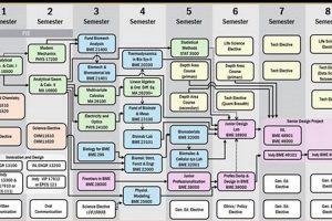 Purdue EE Study: Plan Your Electrical Engineering Degree Study Travel Abroad | Explore Educational Trips & Global Learning Opportunities Purdue EE Study: Plan Your Electrical Engineering Degree | Study Travel Abroad | Explore Educational Trips & Global Learning Opportunities