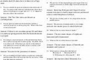 Best Macromolecules One Page Study Guide: Quick Prep Sheet | Study Travel Abroad | Explore Educational Trips & Global Learning Opportunities