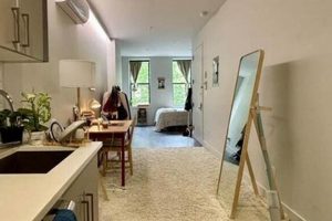Bushwick Studio Apartments: Brooklyn Living Done Right | Study Travel Abroad | Explore Educational Trips & Global Learning Opportunities