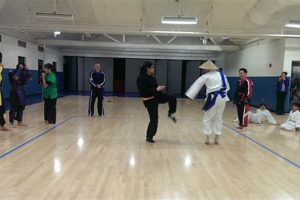 Master the Art: Your Premier TKD Studio & Fitness Hub | Study Travel Abroad | Explore Educational Trips & Global Learning Opportunities