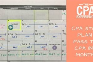 The Best CPA Study Schedule: Plan for CPA Exam Success Study Travel Abroad | Explore Educational Trips & Global Learning Opportunities The Best CPA Study Schedule: Plan for CPA Exam Success | Study Travel Abroad | Explore Educational Trips & Global Learning Opportunities