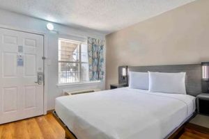 Austin's Budget Stay: Studio 6 Midtown - TX Deals! Study Travel Abroad | Explore Educational Trips & Global Learning Opportunities Austin's Budget Stay: Studio 6 Midtown - TX Deals! | Study Travel Abroad | Explore Educational Trips & Global Learning Opportunities