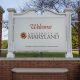 Explore: University of Maryland Case Studies - Real Impact! | Study Travel Abroad | Explore Educational Trips & Global Learning Opportunities