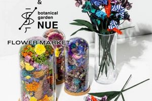 Best of Loveco Studio: Design & Creation | Study Travel Abroad | Explore Educational Trips & Global Learning Opportunities