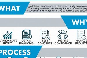 Property Feasibility Study: Real Estate Success Guide | Study Travel Abroad | Explore Educational Trips & Global Learning Opportunities