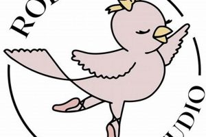 Discover Robin's Dance Studio: Classes & More! | Study Travel Abroad | Explore Educational Trips & Global Learning Opportunities