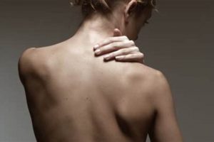 Explore Bare Back Studio Spaces: Art & Beyond Study Travel Abroad | Explore Educational Trips & Global Learning Opportunities Explore Bare Back Studio Spaces: Art & Beyond | Study Travel Abroad | Explore Educational Trips & Global Learning Opportunities