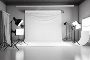 Creative Studio Wallpaper Ideas: Designs & Decor | Study Travel Abroad | Explore Educational Trips & Global Learning Opportunities