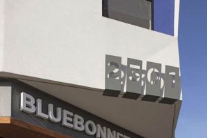 Your Sound, Austin: Bluebonnet Studios Recording | Study Travel Abroad | Explore Educational Trips & Global Learning Opportunities