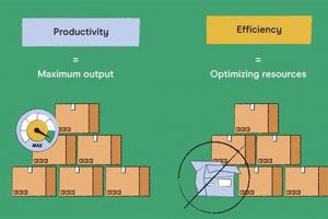 Studio vs. Efficiency Apartments: Which Space is Right For You? | Study Travel Abroad | Explore Educational Trips & Global Learning Opportunities