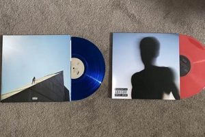 Vinyl Case Study 01: Decoding Collectible Records | Study Travel Abroad | Explore Educational Trips & Global Learning Opportunities