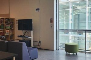 Find Ideal CCA Studios for Rent Near You Today! | Study Travel Abroad | Explore Educational Trips & Global Learning Opportunities