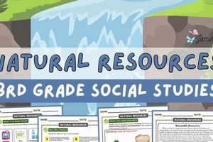 Easy Social Studies for 3rd Grade: Kids Guide! | Study Travel Abroad | Explore Educational Trips & Global Learning Opportunities