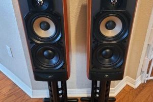 Boost Creativity: Studio 40, Your Production Hub | Study Travel Abroad | Explore Educational Trips & Global Learning Opportunities