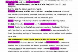 Ultimate A&amp;P Study Guide: Your Body Explained! | Study Travel Abroad | Explore Educational Trips & Global Learning Opportunities