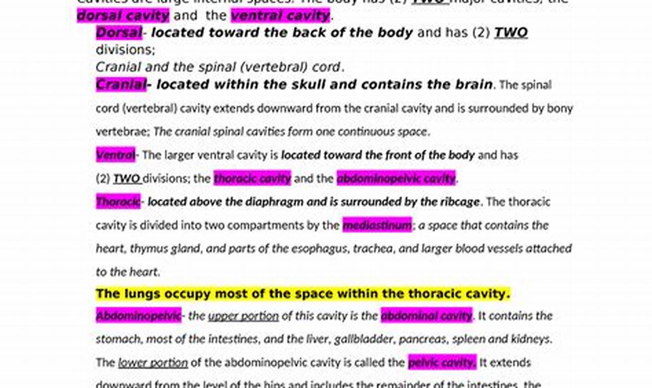 Ultimate A&amp;P Study Guide: Your Body Explained! | Study Travel Abroad | Explore Educational Trips & Global Learning Opportunities