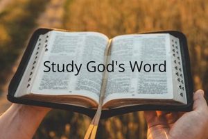 Unlock Scriptures: Studying the Word of God Today Study Travel Abroad | Explore Educational Trips & Global Learning Opportunities Unlock Scriptures: Studying the Word of God Today | Study Travel Abroad | Explore Educational Trips & Global Learning Opportunities