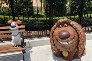 Planning a Trip? Are Dogs Allowed in Universal Studios? Tips & Info Study Travel Abroad | Explore Educational Trips & Global Learning Opportunities Planning a Trip? Are Dogs Allowed in Universal Studios? Tips & Info | Study Travel Abroad | Explore Educational Trips & Global Learning Opportunities