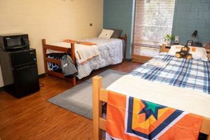 UTRGV Study Rooms: Ace Your Exams & Collab Better! Study Travel Abroad | Explore Educational Trips & Global Learning Opportunities UTRGV Study Rooms: Ace Your Exams & Collab Better! | Study Travel Abroad | Explore Educational Trips & Global Learning Opportunities