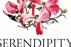 Unlocking Serendipity Studio: Innovation Hub Study Travel Abroad | Explore Educational Trips & Global Learning Opportunities Unlocking Serendipity Studio: Innovation Hub | Study Travel Abroad | Explore Educational Trips & Global Learning Opportunities