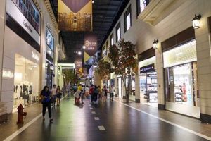 Guide to Studio City Shopping: Best Stores & More | Study Travel Abroad | Explore Educational Trips & Global Learning Opportunities