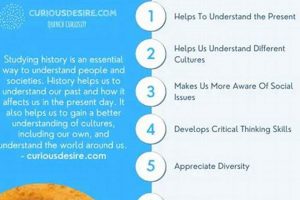 Unlock the Past: How to Study History Effectively | Study Travel Abroad | Explore Educational Trips & Global Learning Opportunities