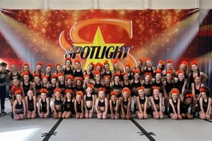 Professional Spotlight Studios: Your Media Creation Hub | Study Travel Abroad | Explore Educational Trips & Global Learning Opportunities