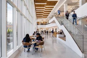 Discover Brown Kopel Study Rooms: Your Focus Zone! | Study Travel Abroad | Explore Educational Trips & Global Learning Opportunities