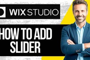 Master Wix Studio Automatic Sliders: Tips &amp; Tricks | Study Travel Abroad | Explore Educational Trips & Global Learning Opportunities