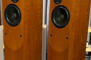 Create with Studio 125: Your Ideal Workspace | Study Travel Abroad | Explore Educational Trips & Global Learning Opportunities