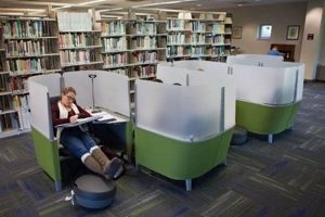 SUNY Adirondack Library Work Study: Jobs + Your Future Study Travel Abroad | Explore Educational Trips & Global Learning Opportunities SUNY Adirondack Library Work Study: Jobs + Your Future | Study Travel Abroad | Explore Educational Trips & Global Learning Opportunities