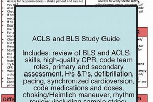 The Ultimate BLS Study Guide: Your Path to Certification! Study Travel Abroad | Explore Educational Trips & Global Learning Opportunities The Ultimate BLS Study Guide: Your Path to Certification! | Study Travel Abroad | Explore Educational Trips & Global Learning Opportunities