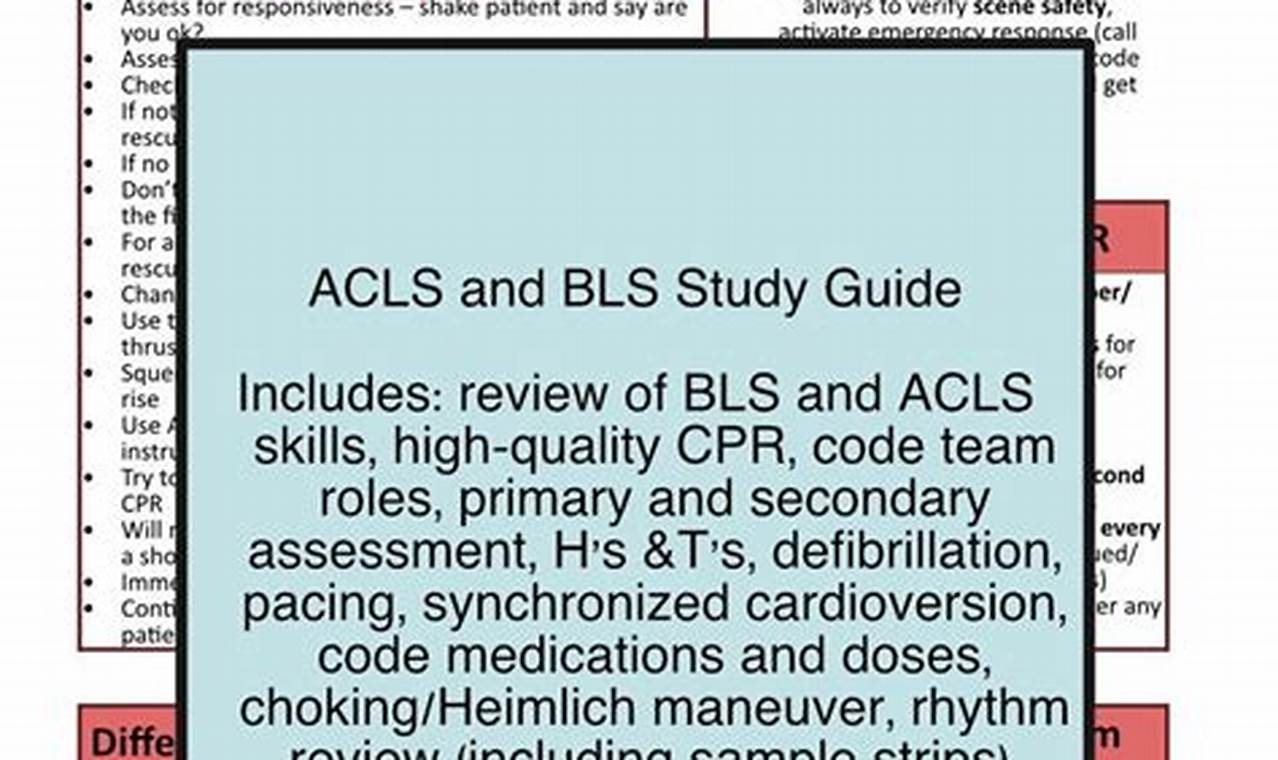 The Ultimate BLS Study Guide: Your Path to Certification! | Study Travel Abroad | Explore Educational Trips & Global Learning Opportunities