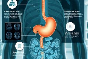 CPT Code for Gastric Emptying Study: Billing & More Study Travel Abroad | Explore Educational Trips & Global Learning Opportunities CPT Code for Gastric Emptying Study: Billing & More | Study Travel Abroad | Explore Educational Trips & Global Learning Opportunities