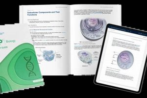 Ace AP Bio: UWorld Study Guides for Test Success Study Travel Abroad | Explore Educational Trips & Global Learning Opportunities Ace AP Bio: UWorld Study Guides for Test Success | Study Travel Abroad | Explore Educational Trips & Global Learning Opportunities