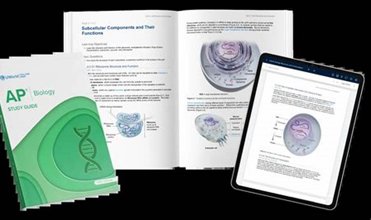 Ace AP Bio: UWorld Study Guides for Test Success | Study Travel Abroad | Explore Educational Trips & Global Learning Opportunities
