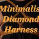 Learn Diamond Harness Shibari: Art & Study Guide | Study Travel Abroad | Explore Educational Trips & Global Learning Opportunities