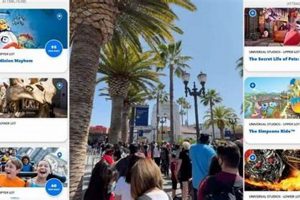 Hollywood Studios Crowd Levels: Tips + Best Times to Visit | Study Travel Abroad | Explore Educational Trips & Global Learning Opportunities