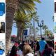 Hollywood Studios Crowd Levels: Tips + Best Times to Visit | Study Travel Abroad | Explore Educational Trips & Global Learning Opportunities