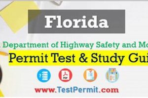 Ace Your Florida Permit Test: Study Guide & Tips! Study Travel Abroad | Explore Educational Trips & Global Learning Opportunities Ace Your Florida Permit Test: Study Guide & Tips! | Study Travel Abroad | Explore Educational Trips & Global Learning Opportunities