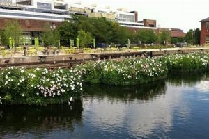 Explore D.I.R.T. Studio: Sustainable Landscape Design Tips Study Travel Abroad | Explore Educational Trips & Global Learning Opportunities Explore D.I.R.T. Studio: Sustainable Landscape Design Tips | Study Travel Abroad | Explore Educational Trips & Global Learning Opportunities