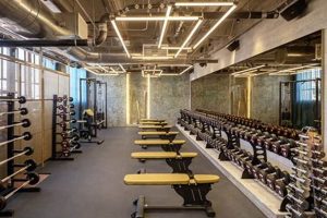 Find Your Fit: Studio City Gyms in Los Angeles Study Travel Abroad | Explore Educational Trips & Global Learning Opportunities Find Your Fit: Studio City Gyms in Los Angeles | Study Travel Abroad | Explore Educational Trips & Global Learning Opportunities