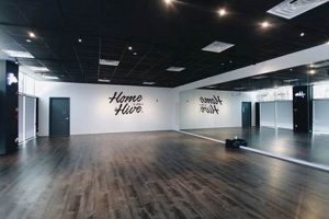 Discover The Hive Dance Studio: [City] Dance Classes | Study Travel Abroad | Explore Educational Trips & Global Learning Opportunities